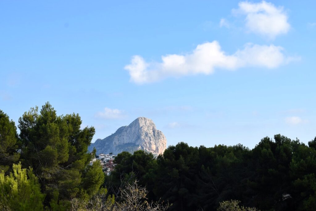 Terrreno Rústico cerca del pueblo
