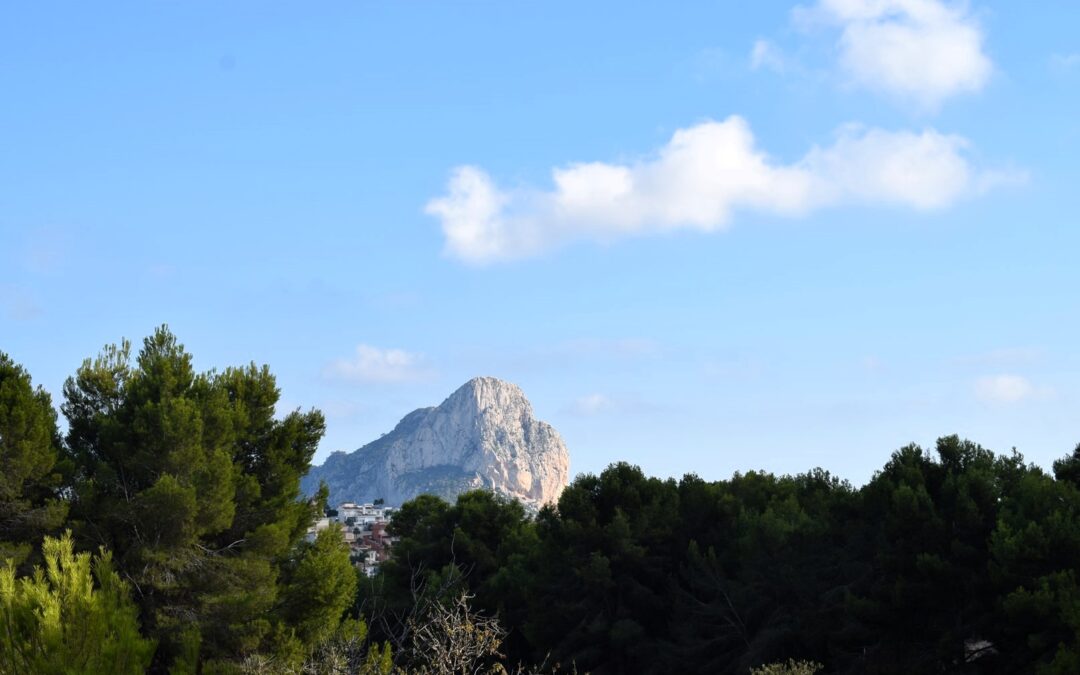 Terrreno Rústico cerca del pueblo