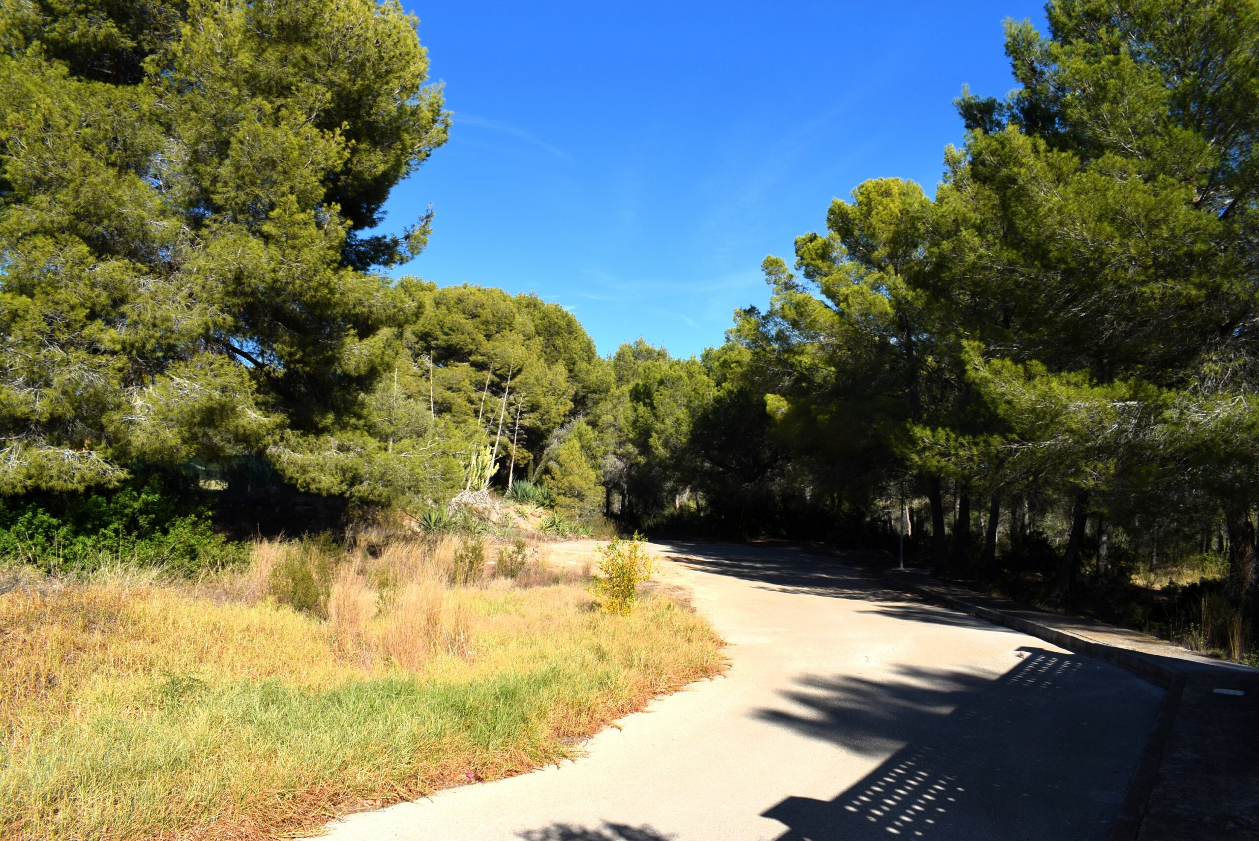 plot en calpe · garduix 240000€